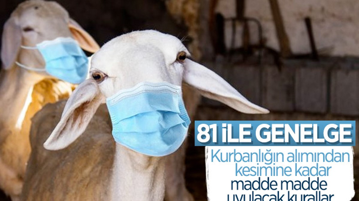 Kurban Satış Ve Kesim Yerlerinde Alınacak Tedbirler Açıklandı