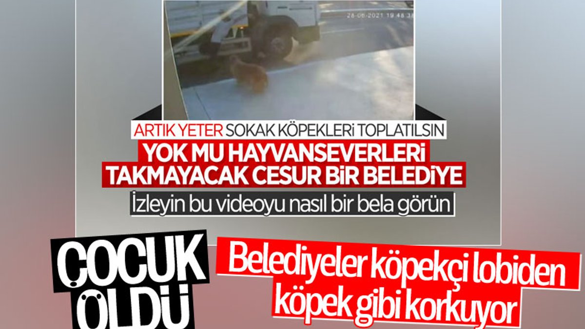 İstanbul'da köpekten kaçarken kamyon çarpan genç hayatını kaybetti