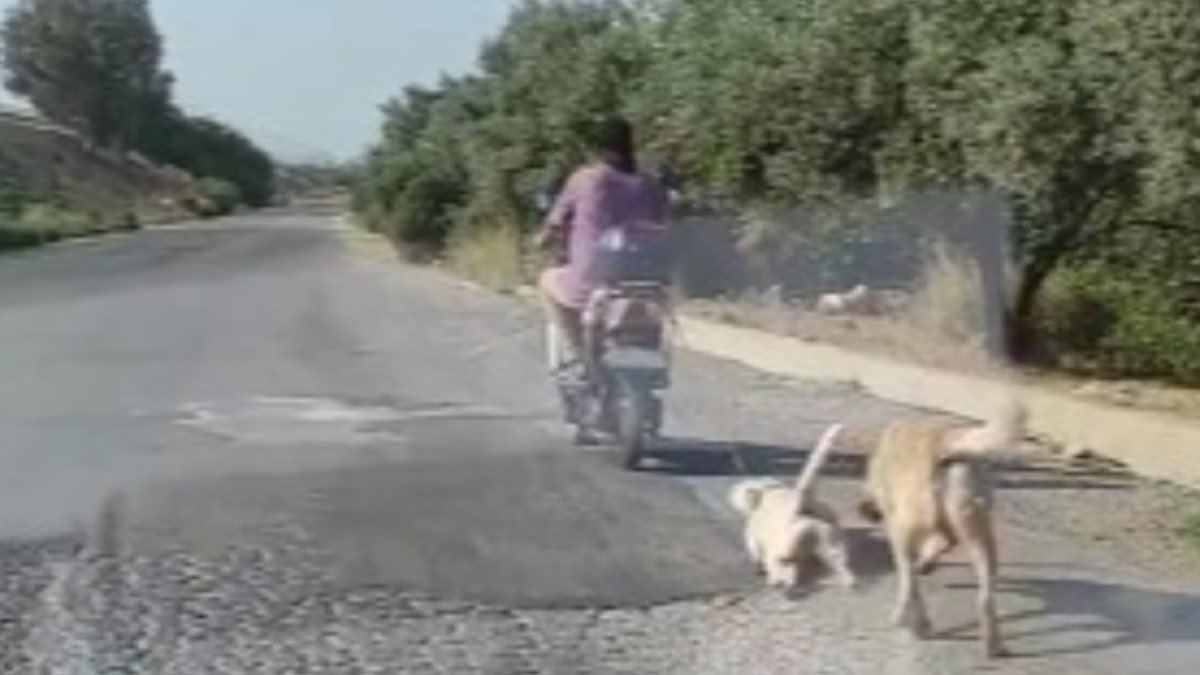 Mersin'de köpeği motosikletin arkasına bağlayıp sürükledi
