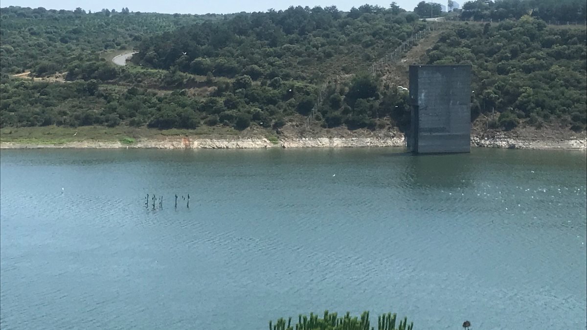 İstanbul'da barajlar, geçen yıla göre yüzde 10 daha dolu