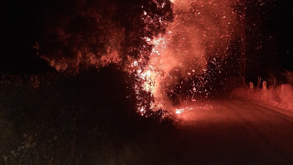 Aydın'da 2 farklı bölgede yangın