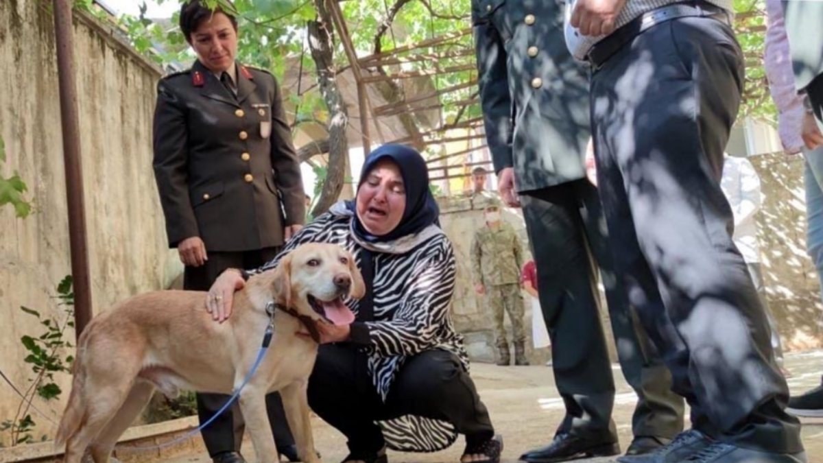 Şehit onbaşının köpeği ailesine sahiplendirildi
