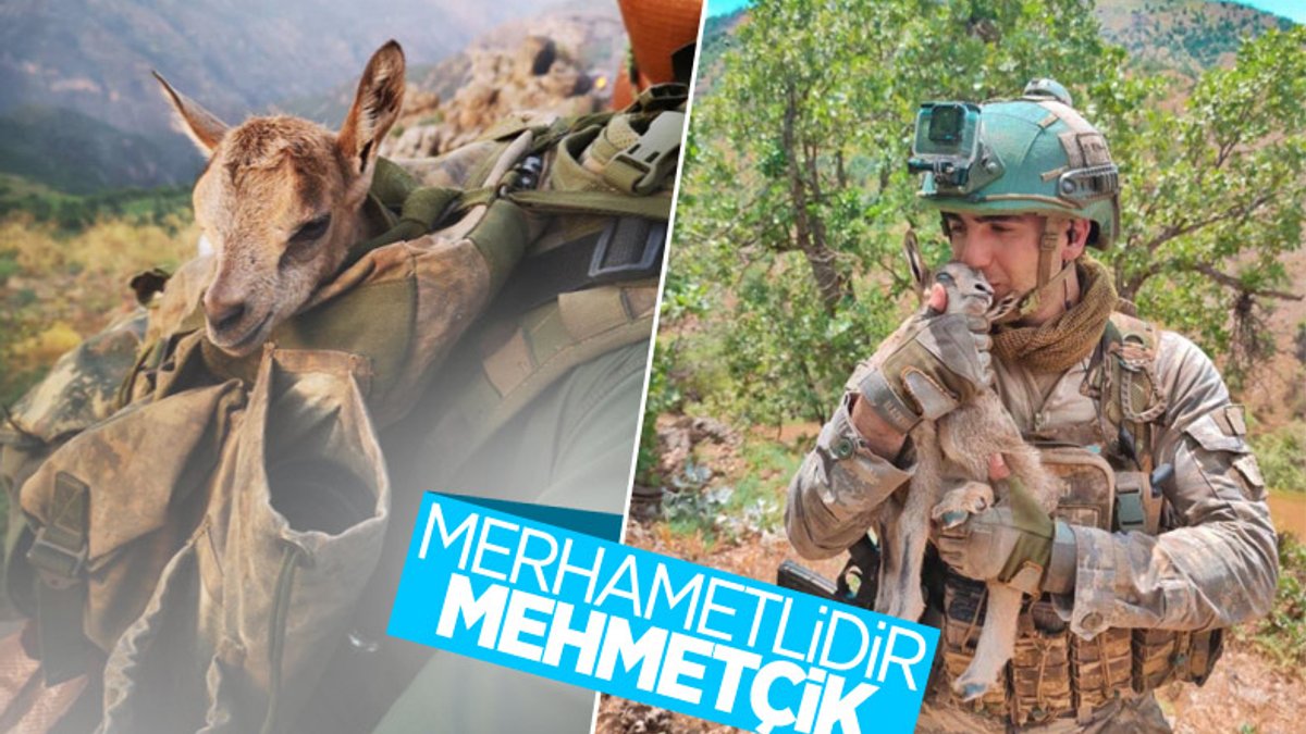 Mehmetçik, görev yaptığı bölgedeki hayvanları unutmadı