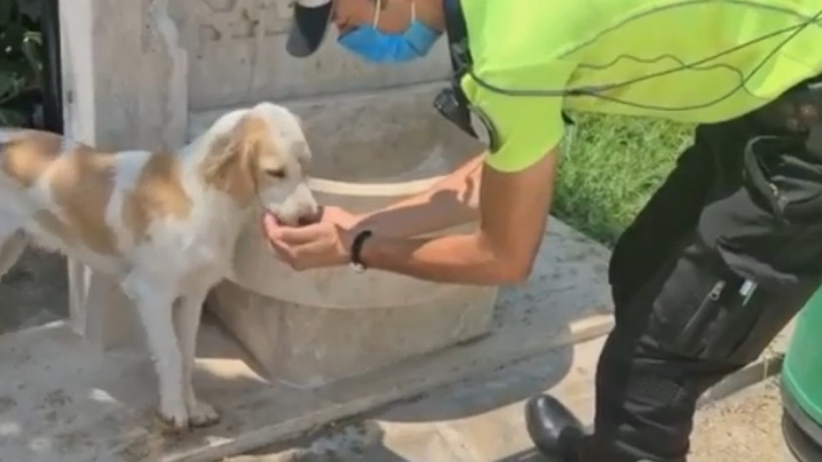 Antalya’da trafik polisinden yüreklere dokunan hareket