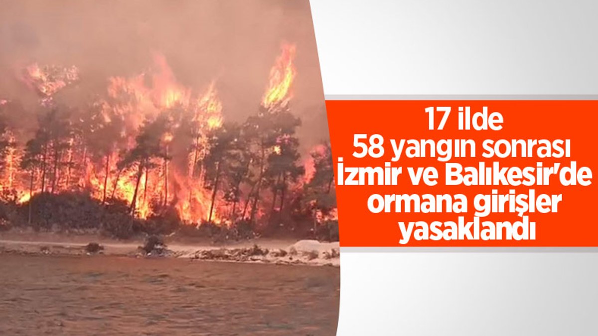 Balıkesir ve İzmir'de ormanlara giriş yasaklandı