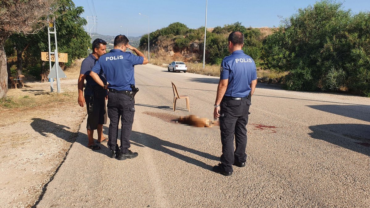 Adana'da av tüfeğiyle vurulan sokak köpeği öldü