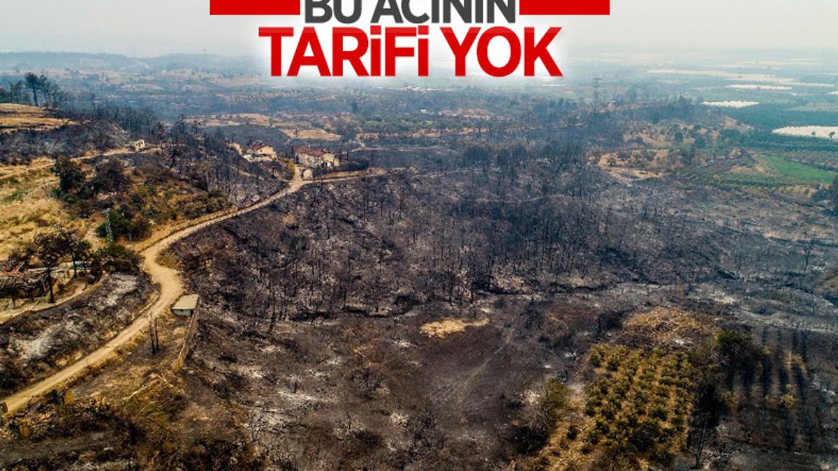 Antalya ve Adana'dan alevlerin ardından yürek yakan manzaralar