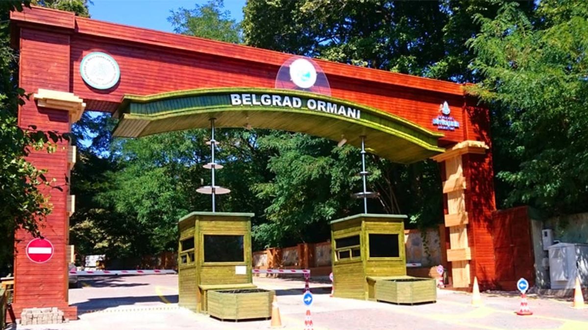 Belgrad Ormanı açık mı, kapalı mı? Belgrad'a girişler yasaklandı mı?