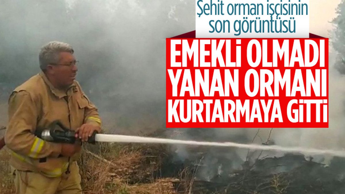 Manavgat'ta can veren orman işçisinin oğlu: Emekli olduğu halde işinden kopamadı