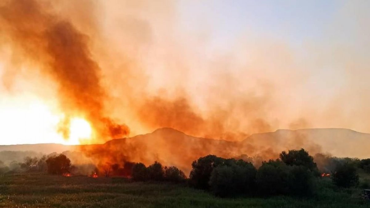 Ankara'da Nallıhan Kuş Cenneti’nde yangın
