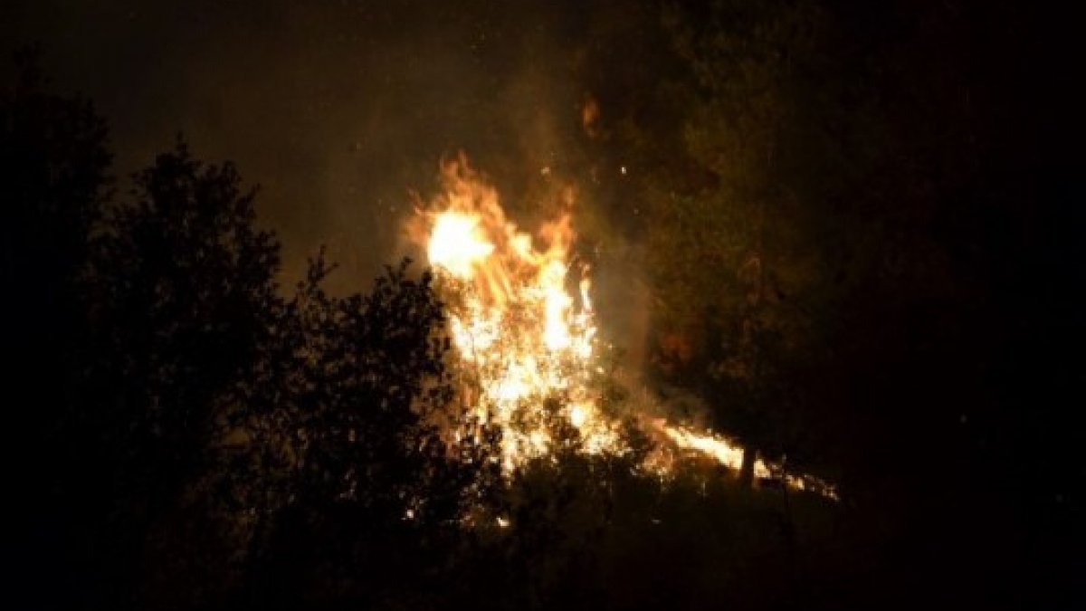 Manisa Salihli'de orman yangını