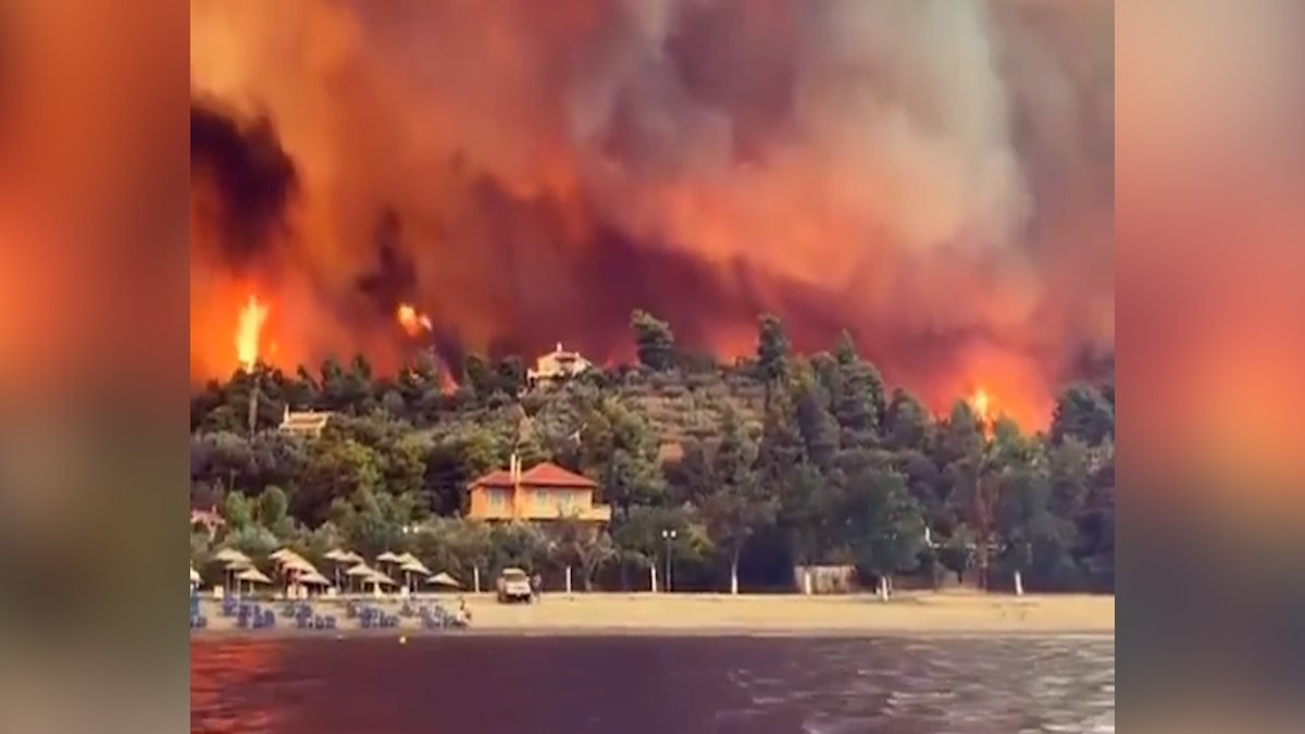 Yunanistan'daki Evia Adası yanıyor