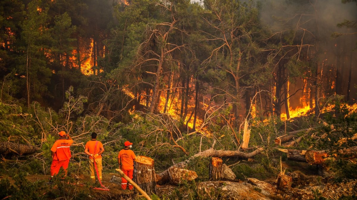 Orman yangınlarının 8. gününde son durum tablosu