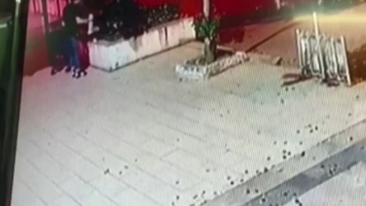 Üsküdar'da bir şahsın sokak kedisini yerden yere vurduğu anlar kamerada
