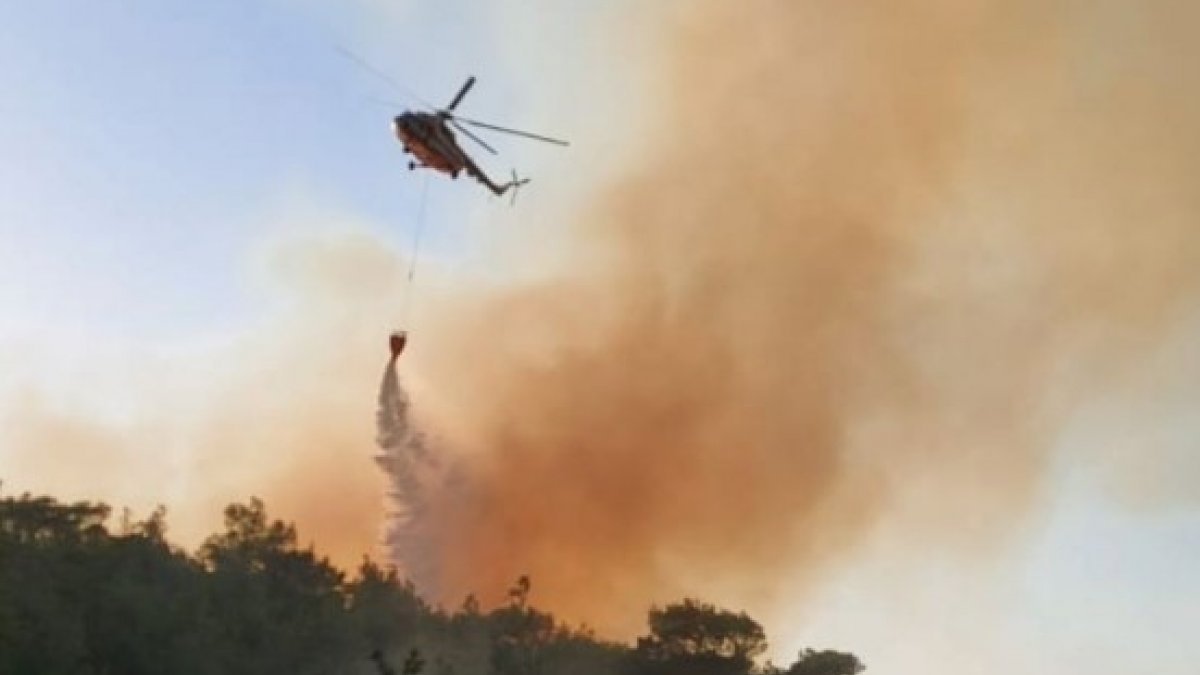 Çanakkale Ezine’de orman yangını çıktı