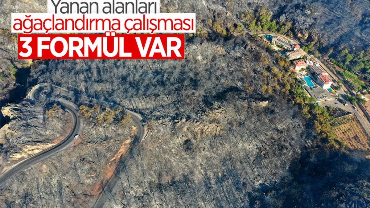 Orman yangınlarıyla tahrip olan bölgeler, 3 yöntemle ağaçlandırılacak