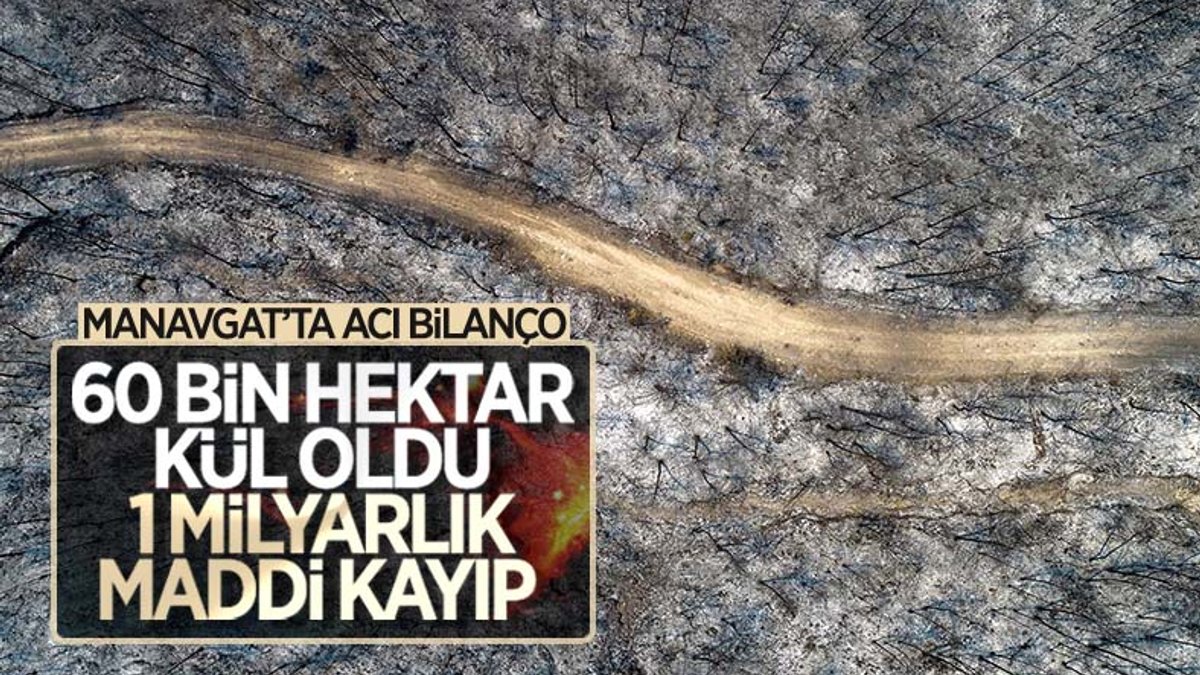 Manavgat'ta yanan 60 bin hektar ormanlık alanda 1 milyar TL'lik zarar oluştu