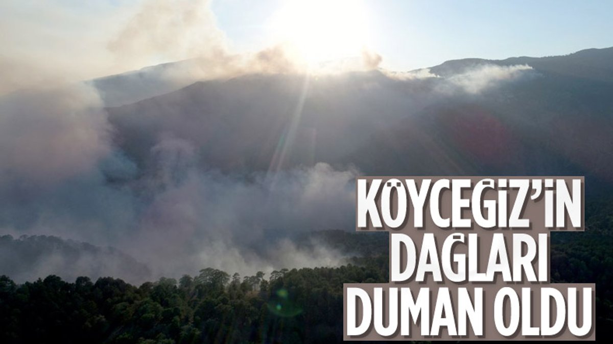 Köyceğiz'deki yangın, Sandras Dağları'nı dumanla kapladı