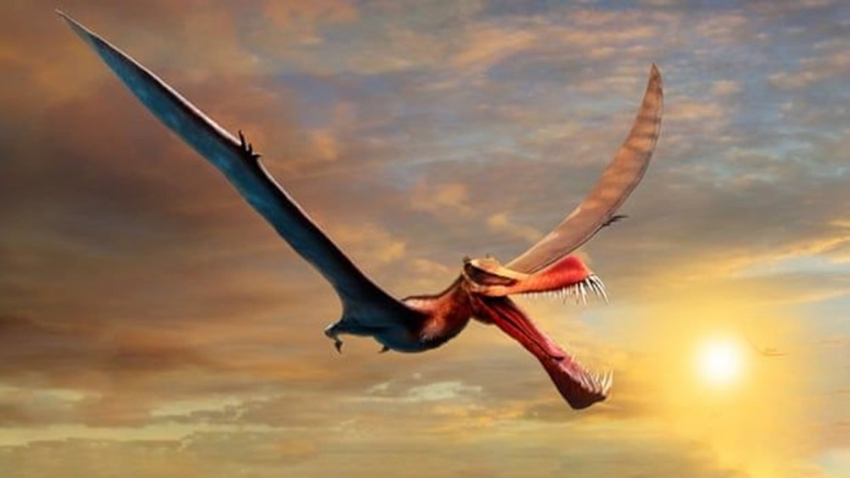 Avustralya'da bulunan fosil, uçan dinozora ait çıktı