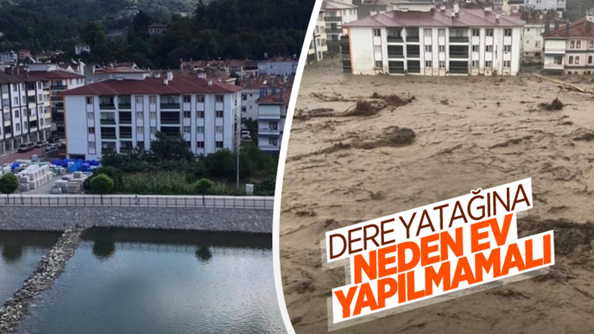 Kastamonu'da sel felaketinin boyutunu anlatan kare