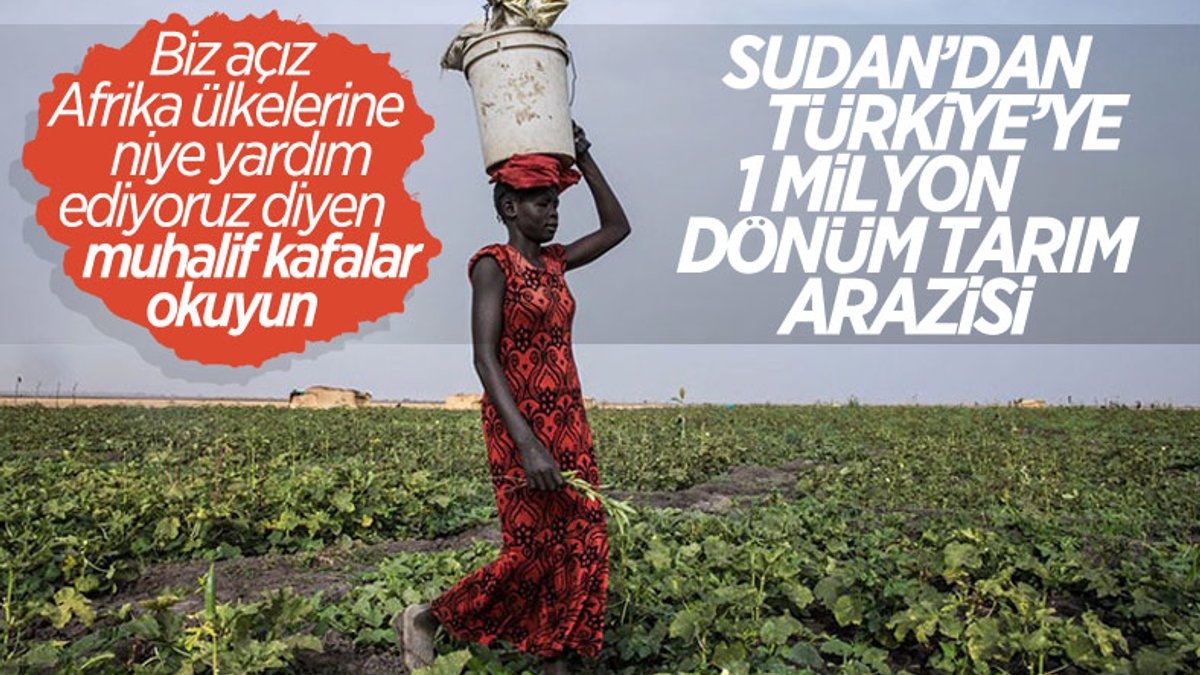 Sudan'dan Türkiye'ye 1 milyon dönüm tarım arazisi tahsis edildi