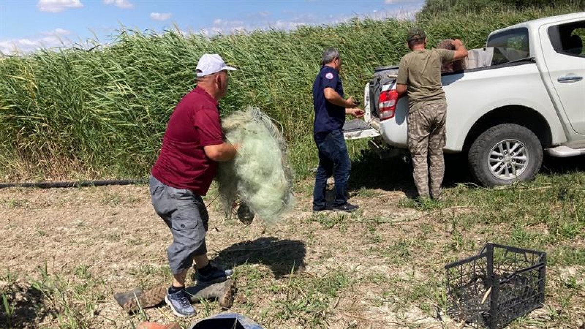 Büyükçekmece'de 1 ton kaçak avlanan balık, göle bırakıldı