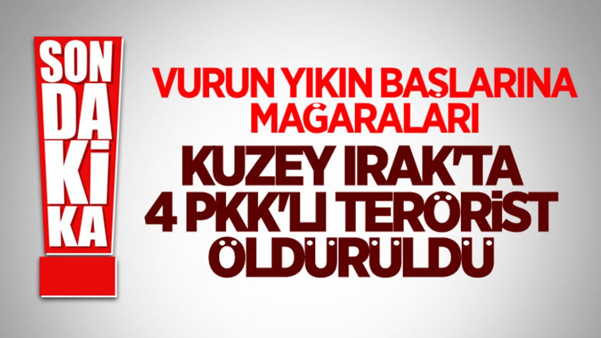 4 PKK'lı terörist öldürüldü