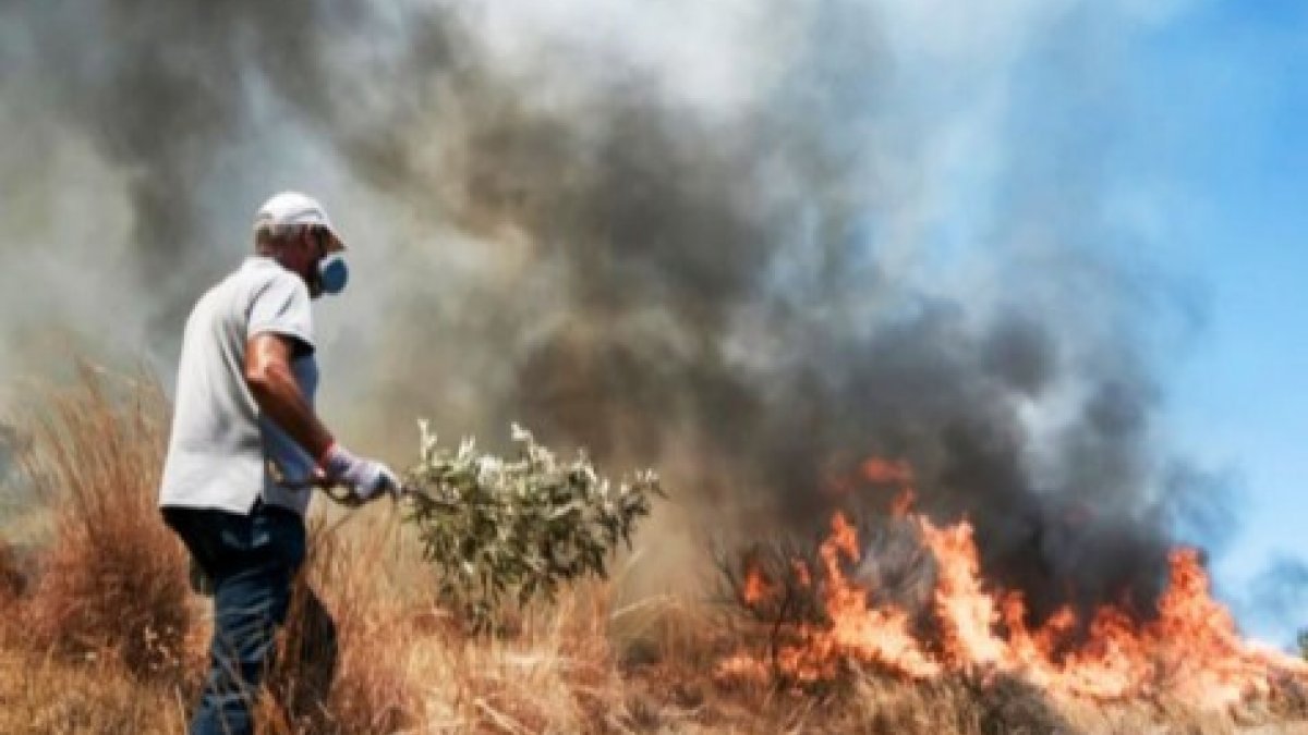 Yunanistan'ın başkenti Atina'daki orman yangını, yeniden başladı