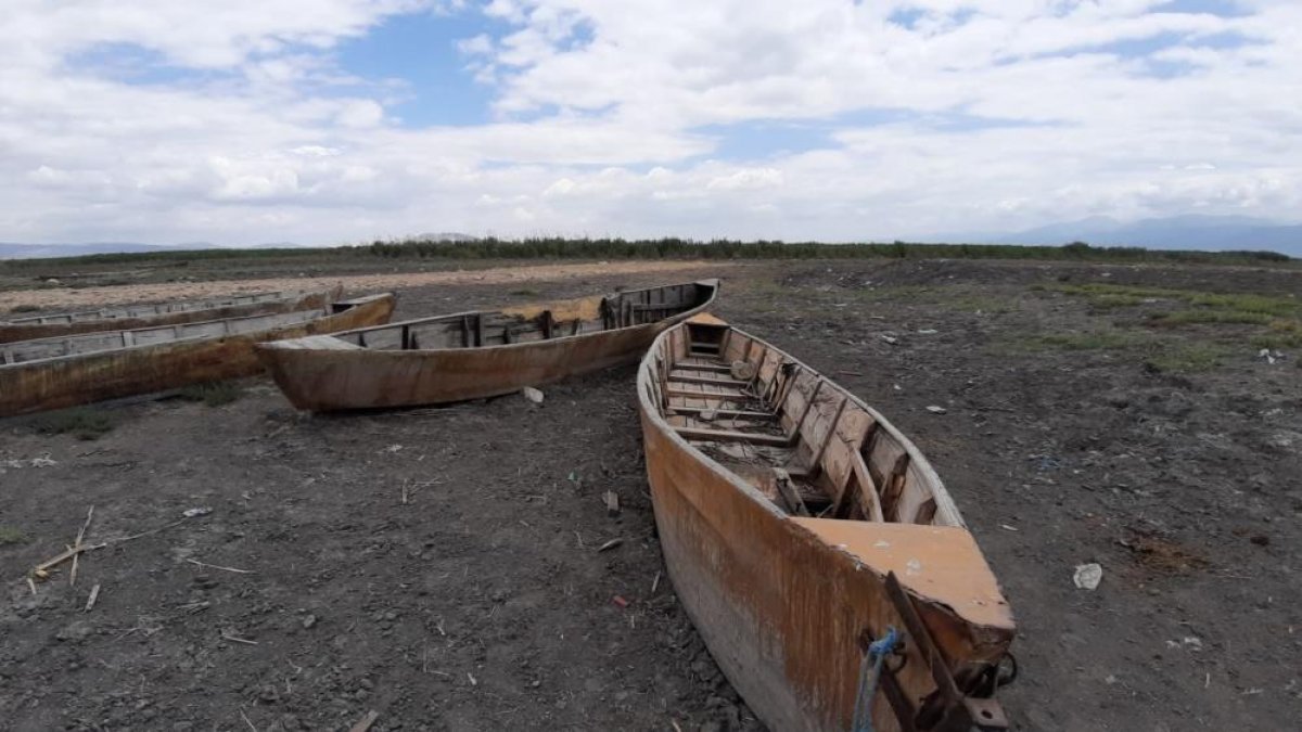 Afyonkarahisar'da Eber Gölü'nü kurtarmaya yaz yağmurları da yetmedi