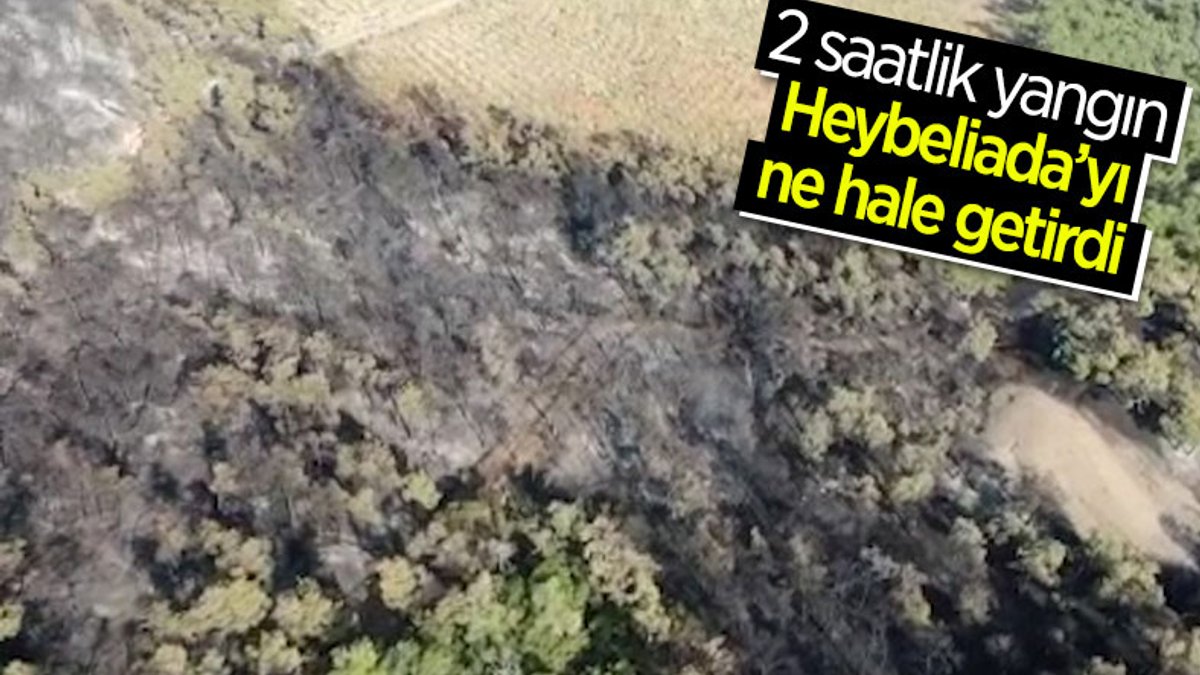 Heybeliada’da yangının bıraktığı hasar havadan görüntülendi
