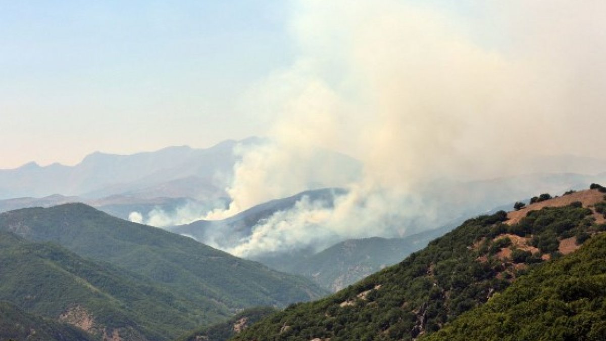 Tunceli’de aynı bölgede yeniden örtü yangını çıktı