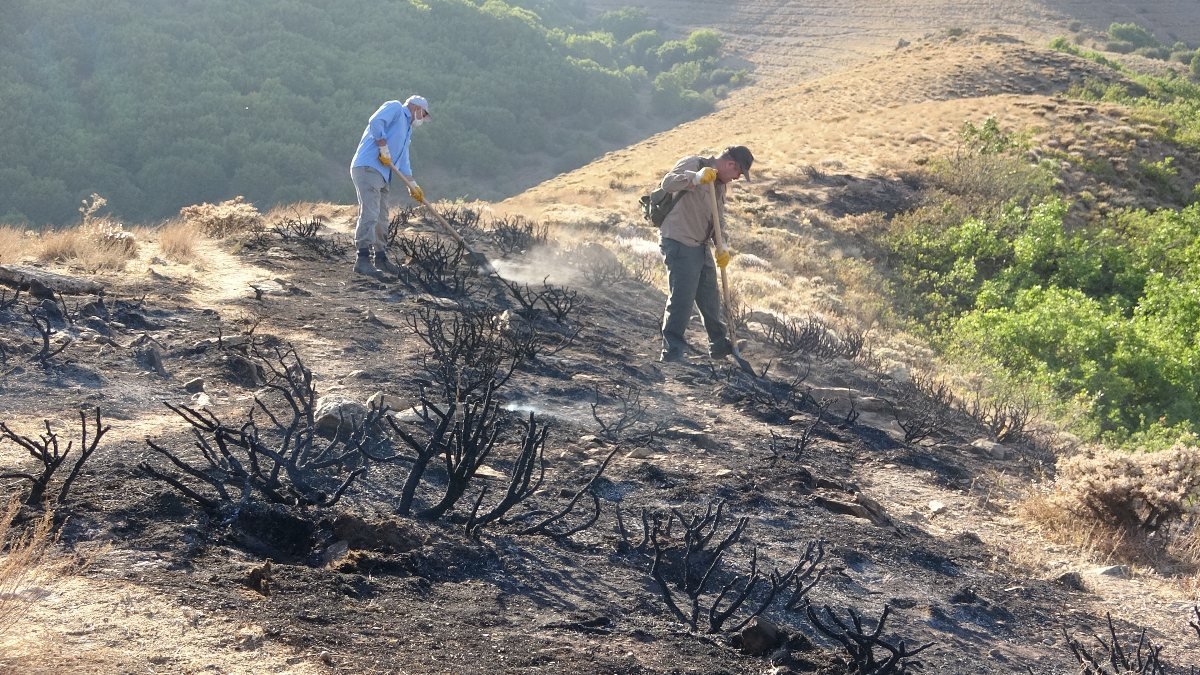 Bitlis’teki örtü yangını ormanlık alana sıçramadan kontrol altına alındı