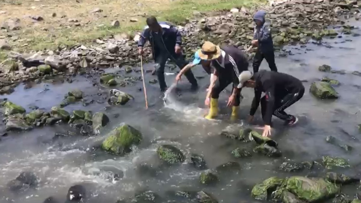 Kars’ta elle balık tutmaya çalışan köylüler