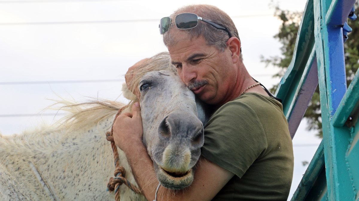 Antalya’da emekli polis, çalınan atını muhbir tutarak buldu