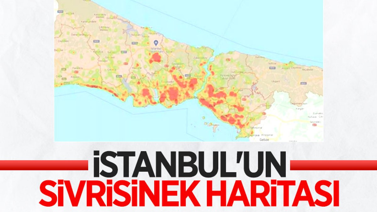 İstanbul’un sivrisinek üreme haritası