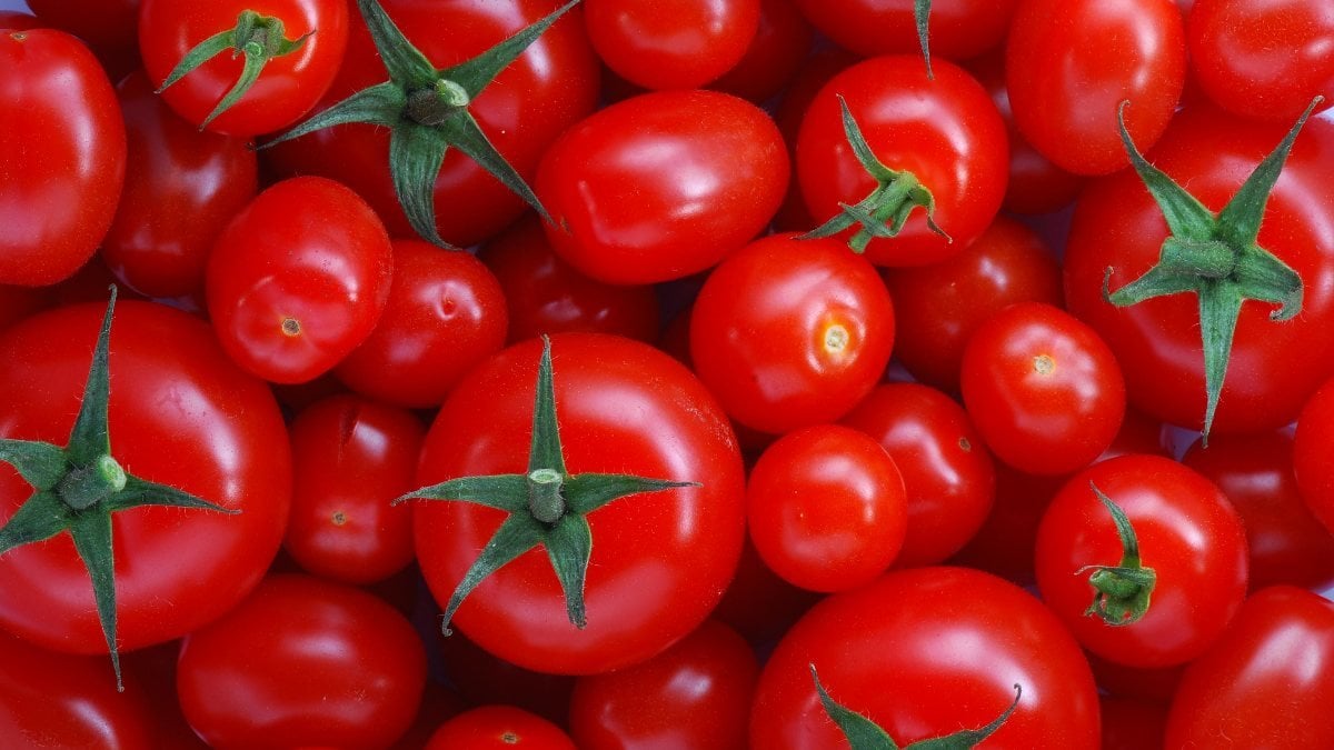 Her gün domates yemenin 6 faydası