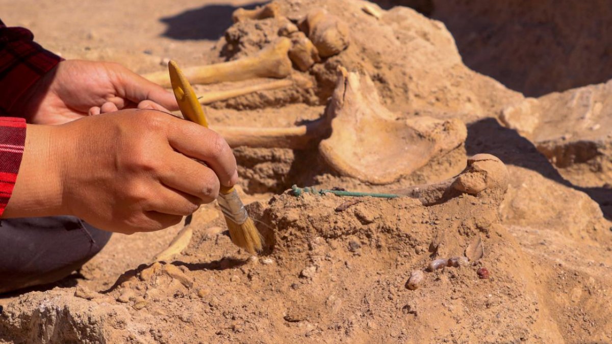Van'da Urartular döneminde yaşamış bir kadın yöneticinin mezarı bulundu
