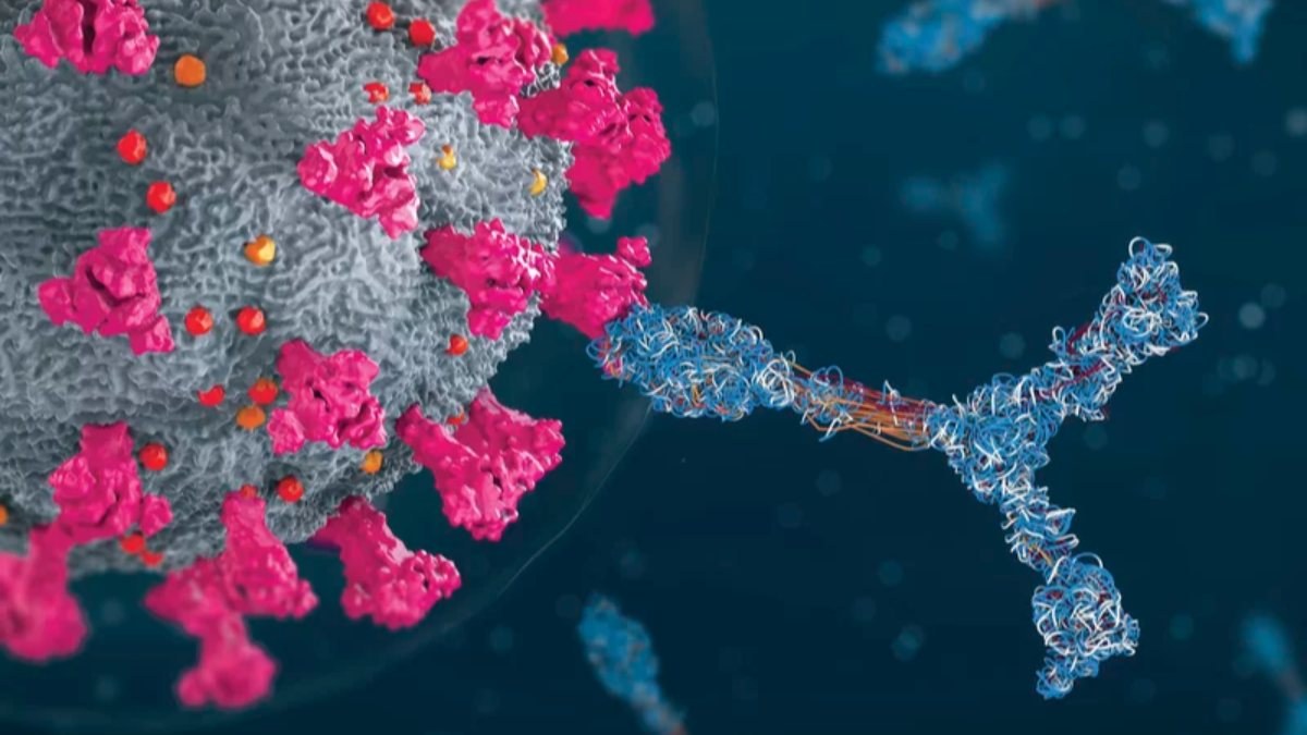 Yeni araştırma, bazı bireylerde koronavirüse karşı 'süper insan' bağışıklığı buldu