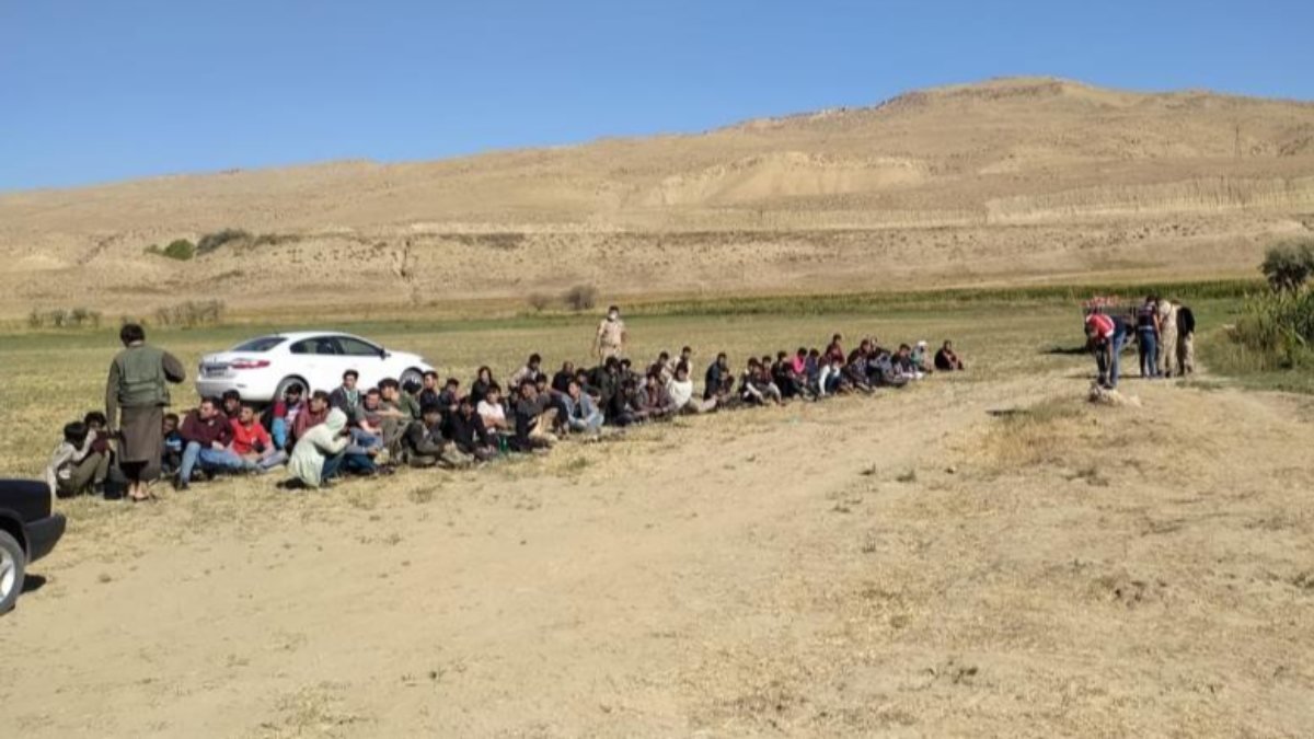 Van'da 14 kişilik minibüsten 71 kaçak göçmen çıktı