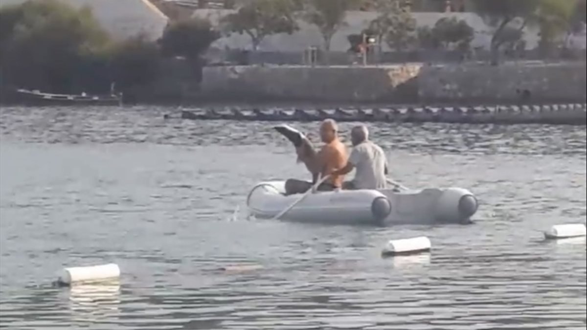 Muğla’da görülen camgöz köpek balığı, güvenli alana bırakıldı