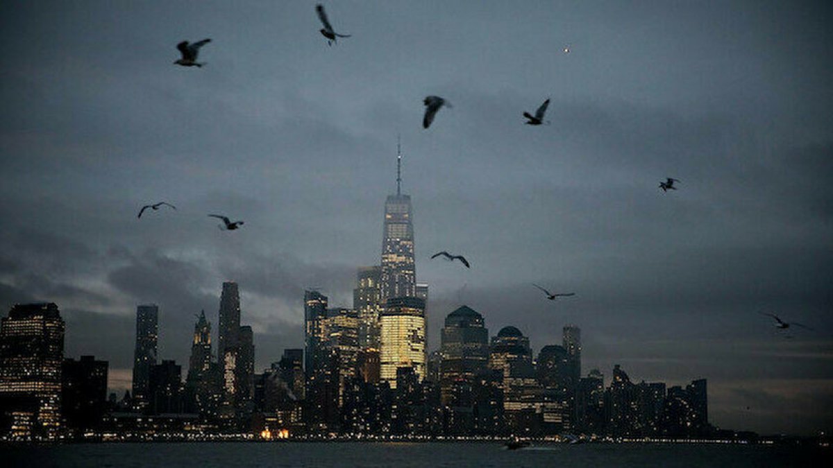 New York'taki gökdelenler uçan kuşlara engel oluyor