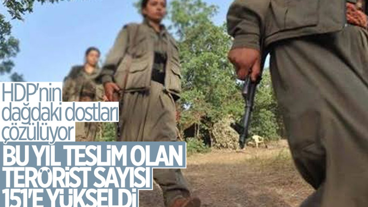 İçişleri Bakanlığı: 5 PKK'lı daha teslim oldu