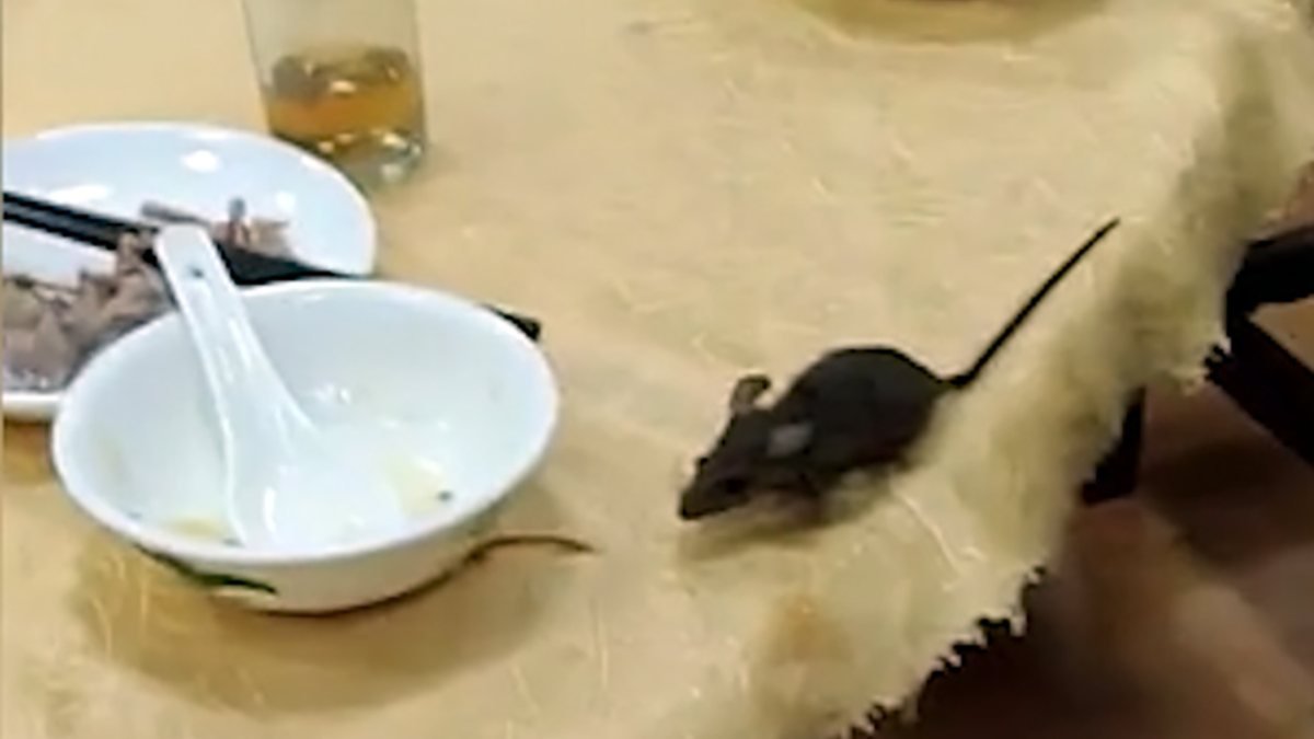 Çin'de restoranda fare paniği