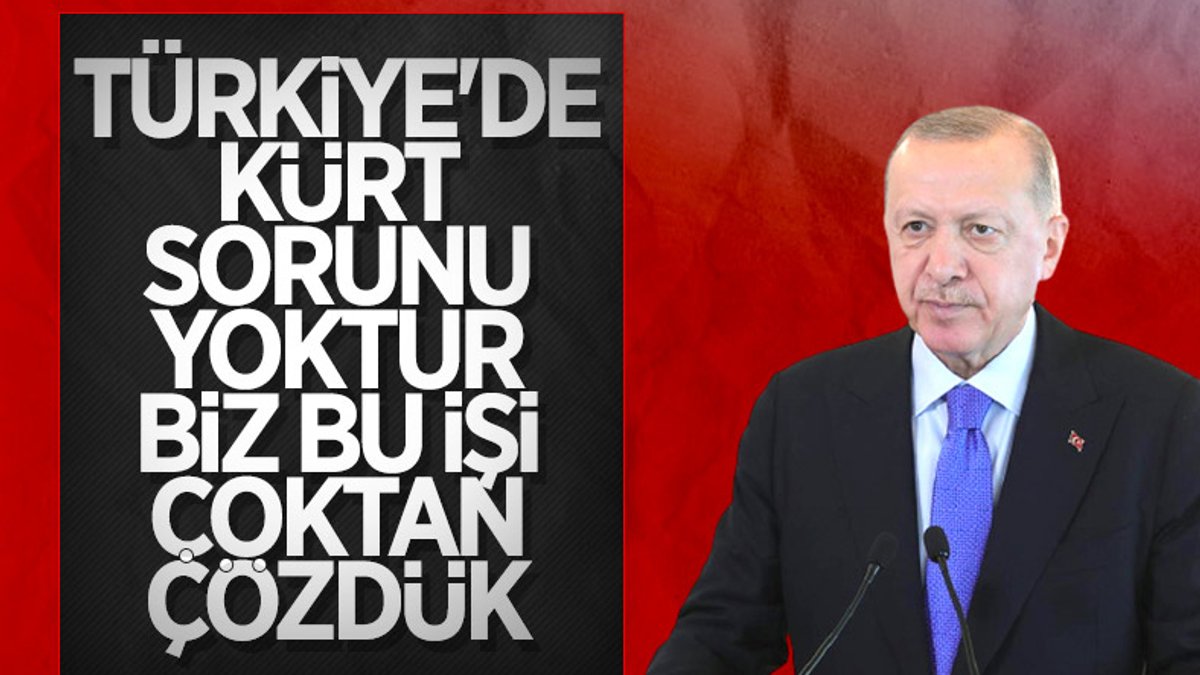 Cumhurbaşkanı Erdoğan'dan Kürt sorunu açıklaması