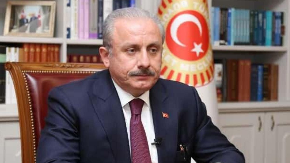 Mustafa Şentop, AB'nin göçmen politikasını eleştirdi
