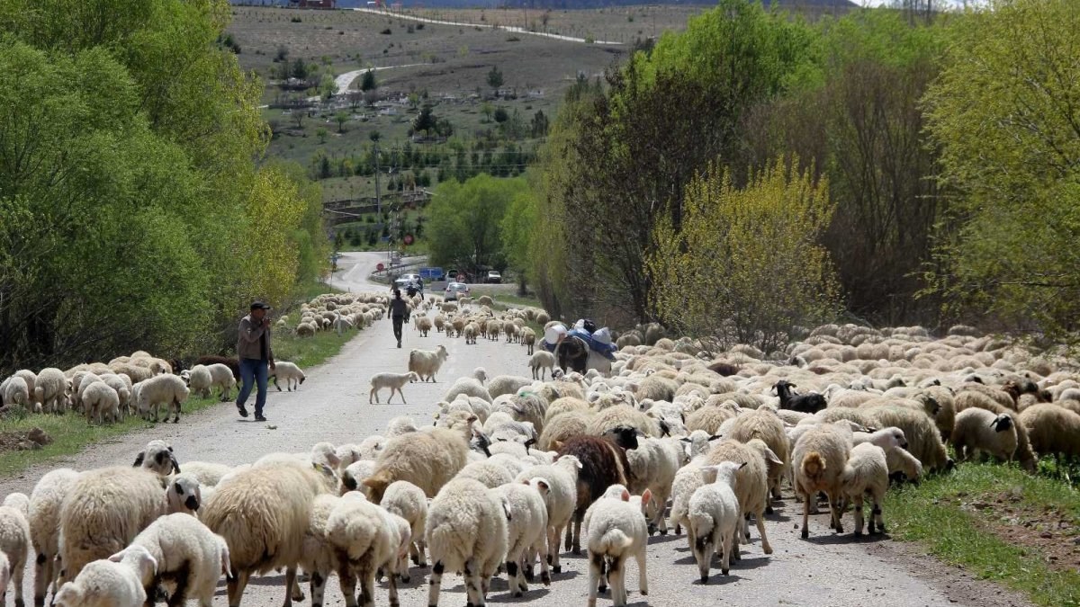 Erzincan'da yaylaya çıkan göçerler geri dönüş yolculuğuna geçti