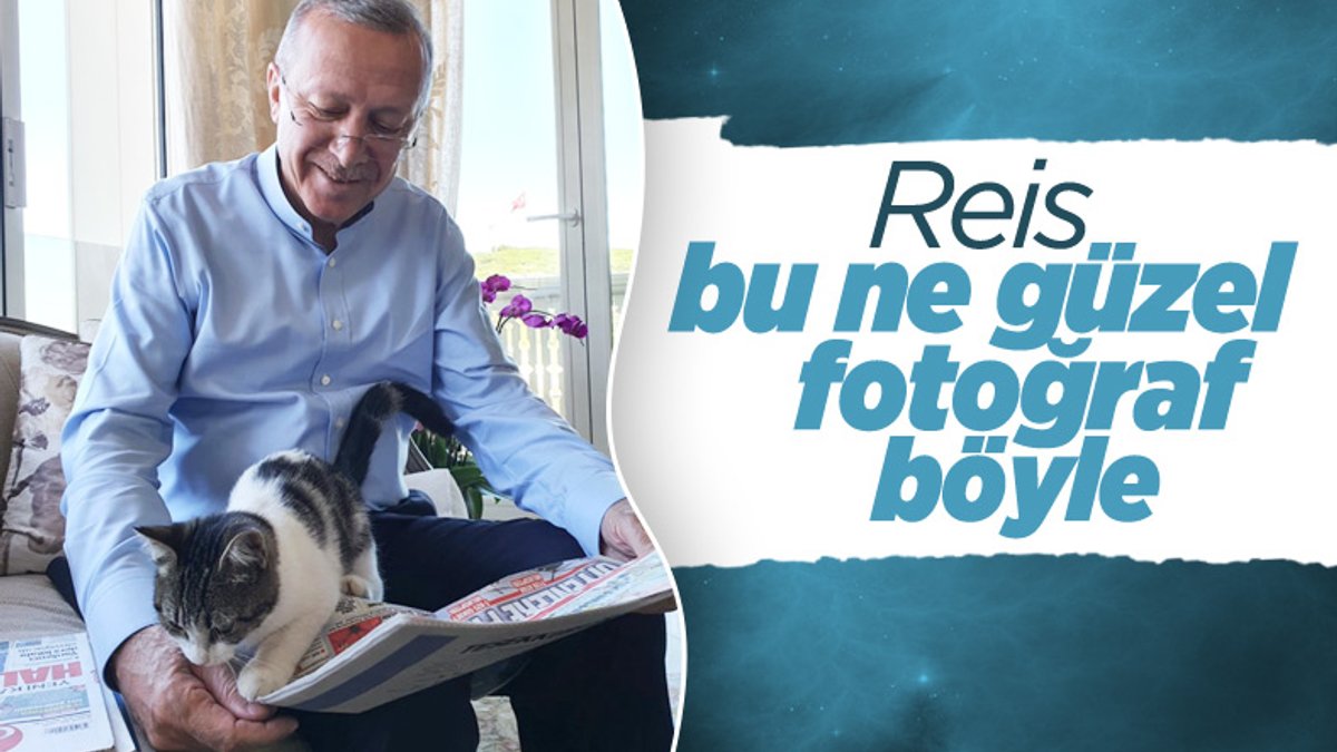 Cumhurbaşkanı Erdoğan’dan tatil günü paylaşımı