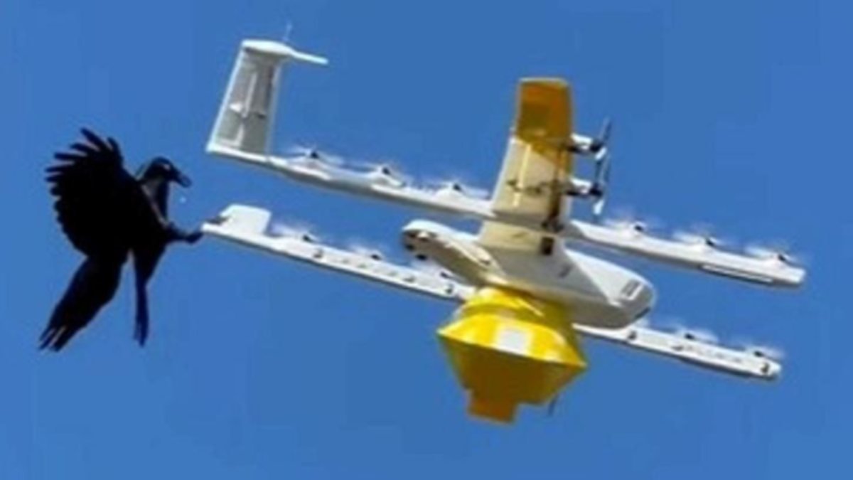 Avustralya'da kuşlar, kargo drone'una saldırdı