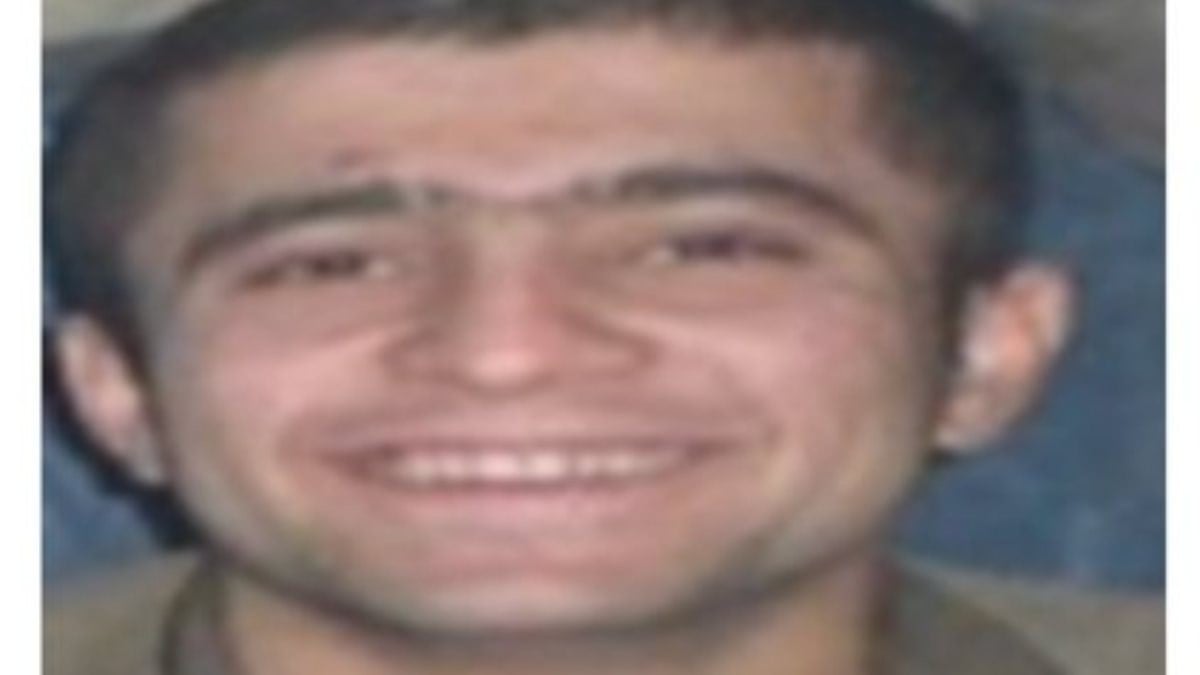 Gri kategoride aranan terörist Mehdi Uysal, Şırnak'ta öldürüldü