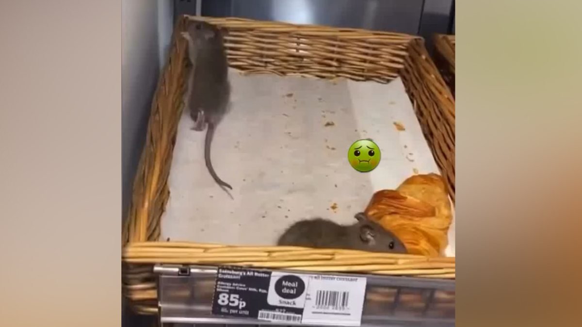 İngiltere'de market zincirini fareler istila etti